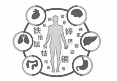 
这种微量元素被誉为“生命之花”呵护孩子健康成长