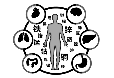 人体微量元素检测仪介绍您需要了解微量元素与人体健康